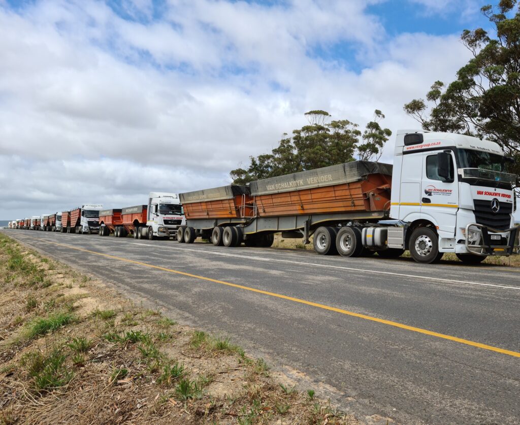 135802598_1614970262034355_5411591679927987284_n